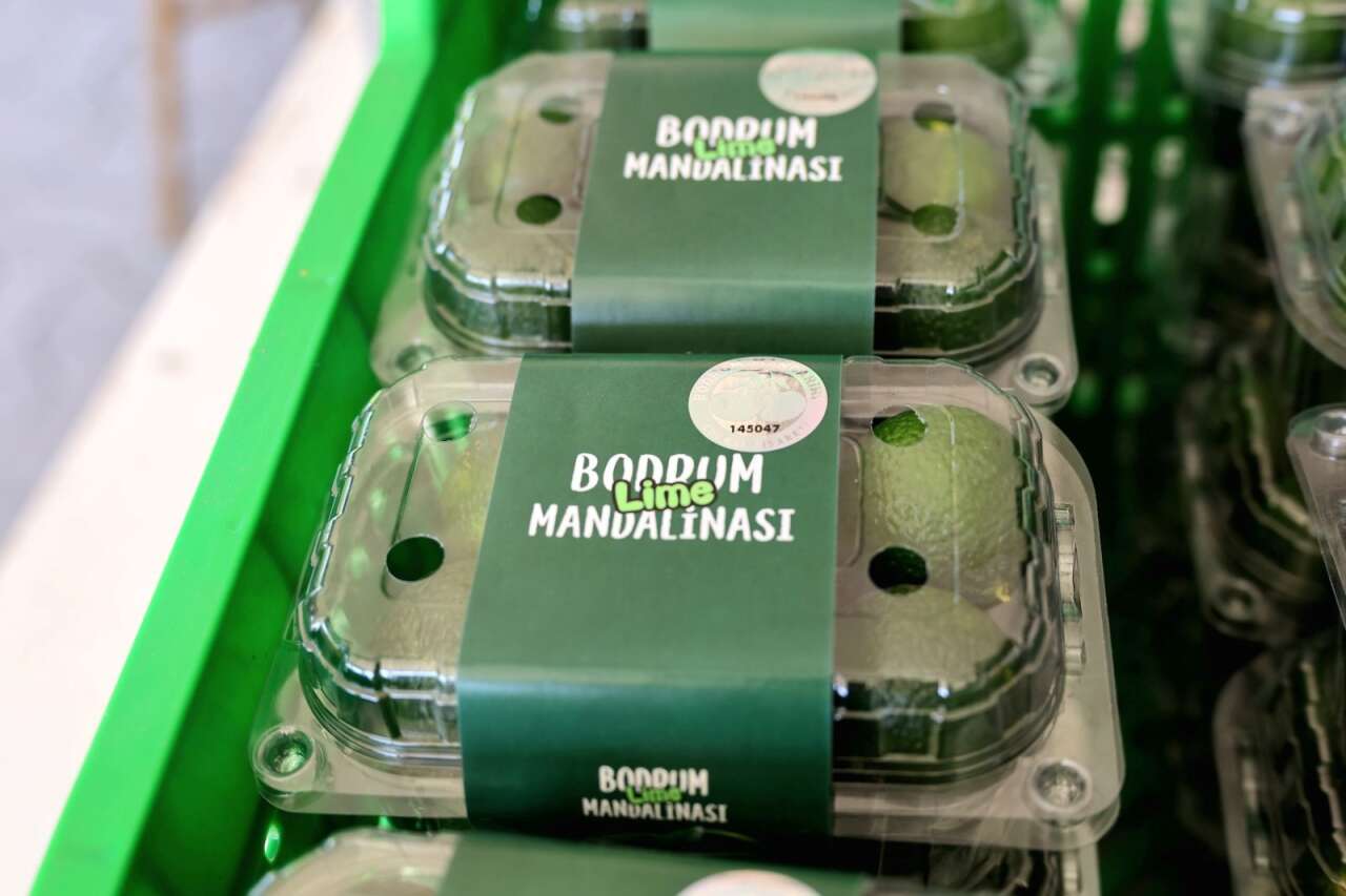 Bodrum’da Mandalin Üreticisine 5 Milyon TL’lik Destek 9